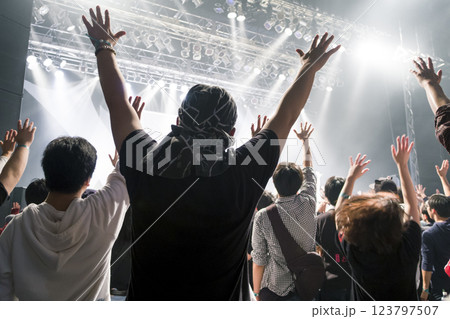 フェスの風景 123797507