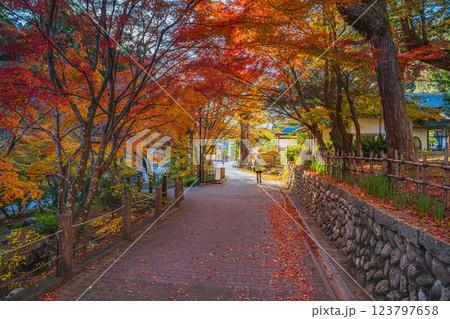 袋井市にある法多山尊永寺の参道と紅葉の風景(静岡県) 袋井市にある法多山尊永寺の参道と紅葉の風景(静岡県) 123797658
