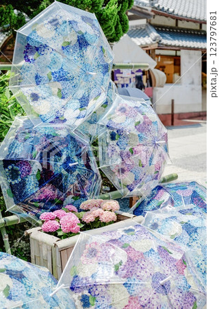 楊谷寺の紫陽花の傘 楊谷寺の紫陽花の傘 123797681