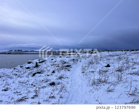 Distant view of people hiking a marked route in an expansive Antarctic landscape on snow covered Half Moon Island with a background of the snowy coastal mountains of Livingstone Island in Antarctica 123797690