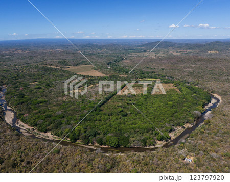 Lush green forest surrounds winding river in serene landscape at midday Lush green forest surrounds winding river in serene landscape at midday 123797920