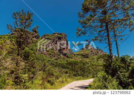 Morro dos Cabritos canyon with araucaria trees and road in Santa Catarina, Brazil 123798062