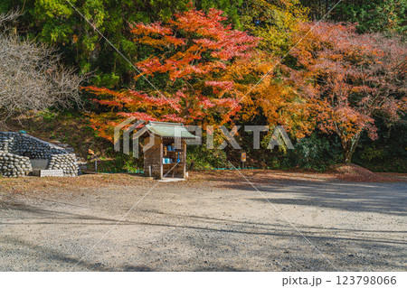 森町にある大洞院の駐車場と紅葉と落ち葉の風景(静岡県) 123798066