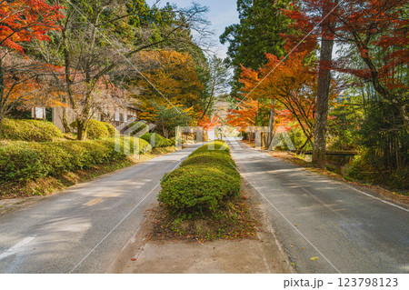 森町にある大洞院前の紅葉と道路の風景(静岡県) 123798123