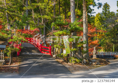 森町にある大洞院の紅葉の風景(静岡県) 森町にある大洞院の紅葉の風景(静岡県) 123798144