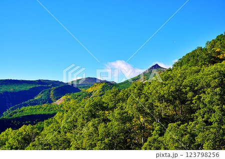 大雪山連峰 黒岳　あまりょうの滝展望台からの絶景 123798256