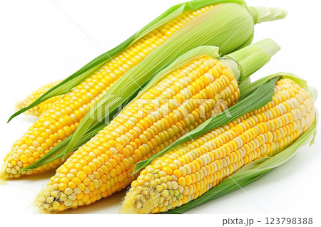 Corn cob raw with grains fresh, white background isolate. Sweet natural type of harvest. 123798388