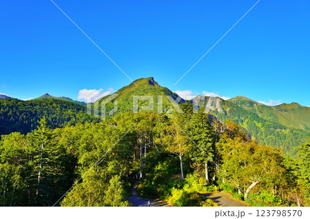 黒岳駅ネイチャーテラスから望む大雪山連峰 123798570