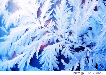 Frosty winter background of snowflakes on glass, christmas new year texture natural blue. 123798642