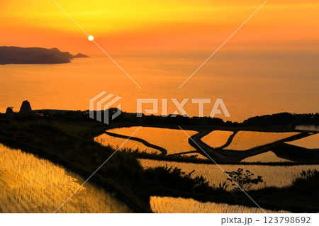 【山口県】東後畑棚田の夕焼け 123798692