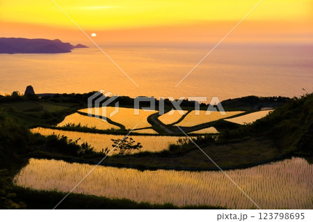 【山口県】東後畑棚田の夕焼け 【山口県】東後畑棚田の夕焼け 123798695