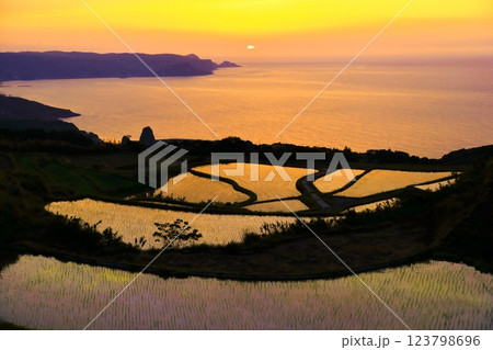 【山口県】東後畑棚田の夕焼け 【山口県】東後畑棚田の夕焼け 123798696