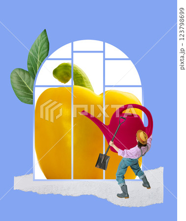 Gardener lifting huge watering can toward yellow bell pepper inside greenhouse structure. 123798699