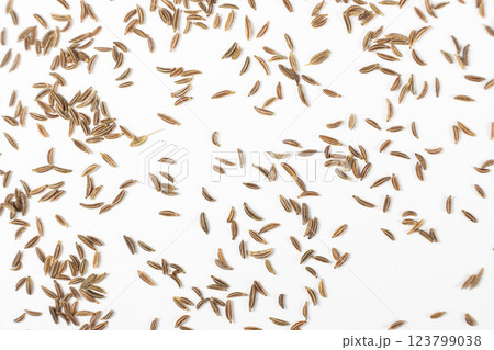 Dried Cumin Seeds Close-Up Culinary Ingredient on White Top View 123799038