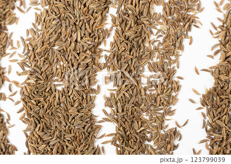 Dried Cumin Seeds Close-Up Culinary Ingredient on White Top View 123799039