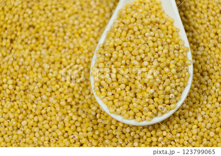 Uncooked organic raw millet grains in a spoon close-up Uncooked organic raw millet grains in a spoon close-up 123799065