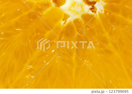 Macro Texture Of Ripe Fresh Orange Fruit Pulp. 123799095