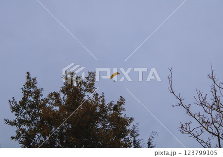 flying in the clear sky 123799105