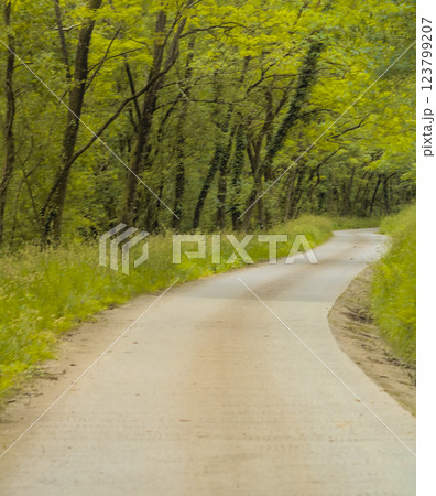 asphalt track in the countryside asphalt track in the countryside 123799207