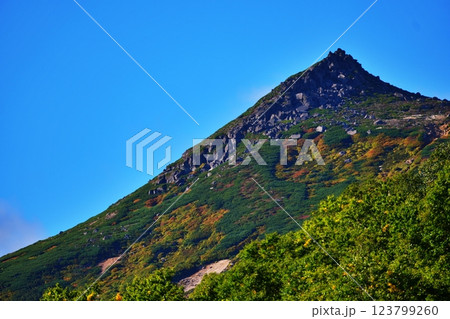 大雪山連峰 黒岳山頂 123799260