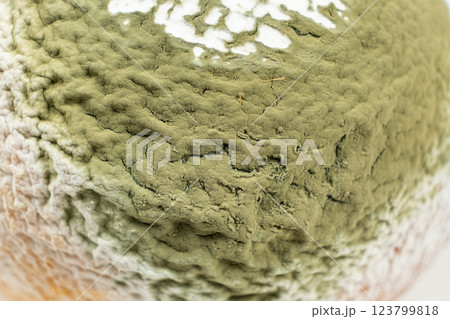 Old Lemon with Green Mold. Rotten Food Macro 123799818