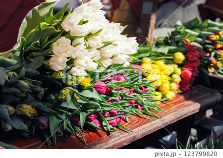 Close-up rows fresh yellow Dutch tulip bouquets lay wooden table vibrant street flower market sale. Lot multicolored tulips bouquets. Floral blooming wholesale retail plant store. Florist service 123799820