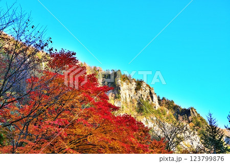 秋晴れの北海道 層雲峡の渓谷と紅葉 123799876