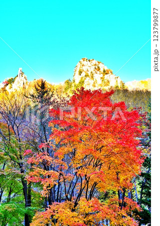 秋晴れの北海道 層雲峡の渓谷と紅葉 123799877