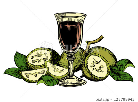 Unripe walnut seeds whole and halves, leaves and branches lie on a plate. Vector glass of Italian walnut liqueur Nocino. Composition in color engraving technique. Unripe walnut seeds whole and halves, leaves and branches lie on a plate. Vector glass of Italian walnut liqueur Nocino. Composition in color engraving technique. 123799943