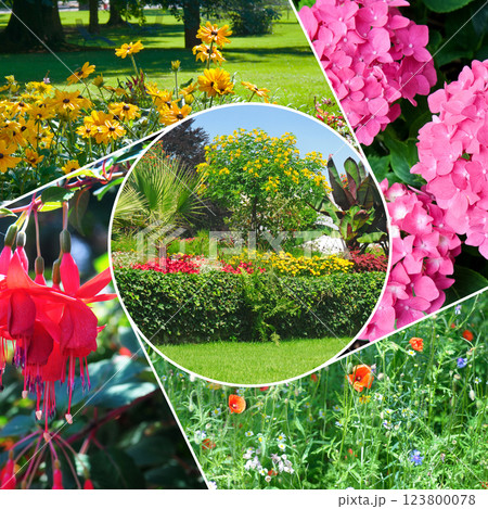 Colorful collage of flowers and garden. 123800078