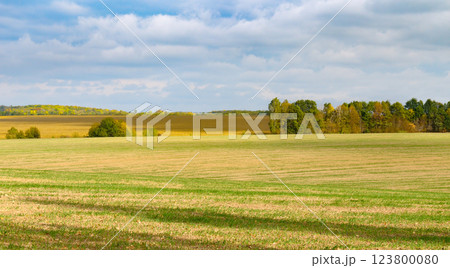 Harvested fields and meadows. rural autumn landscape. 123800080