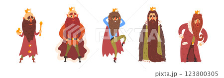 Bearded Man King Character with Mantle and Crown Vector Set 123800305