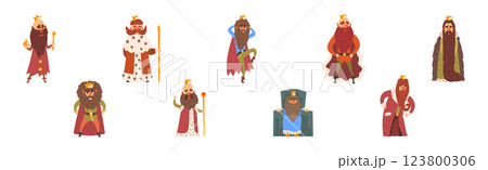 Bearded Man King Character with Mantle and Crown Vector Set 123800306