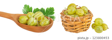 Green gooseberry in wooden spoon and wicker basket isolated on white background with full depth of field Green gooseberry in wooden spoon and wicker basket isolated on white background with full depth of field 123800453