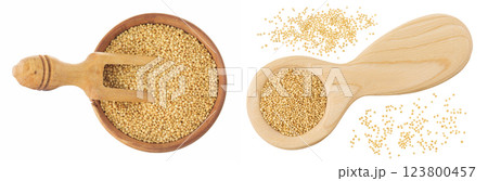 Amaranth grain seeds in wooden scoop and bowl isolated on white background. Top view. Flat lay Amaranth grain seeds in wooden scoop and bowl isolated on white background. Top view. Flat lay 123800457