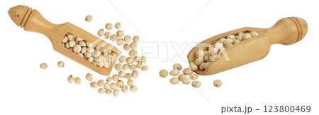 Sorghum seeds in wooden scoop isolated on white background. Top view. Flat lay. Sorghum seeds in wooden scoop isolated on white background. Top view. Flat lay. 123800469