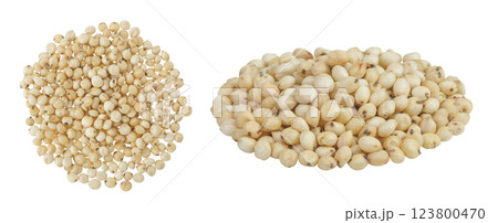 Sorghum seeds isolated on white background. Top view. Flat lay. Sorghum seeds isolated on white background. Top view. Flat lay. 123800470