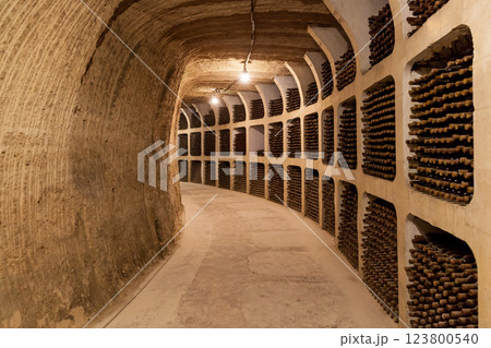 Old bottles of wine stacked in rows Old bottles of wine stacked in rows 123800540
