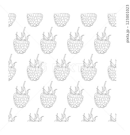 Raspberry berry close-up. Doodle style. Vector illustration. Seamless pattern. Raspberry berry close-up. Doodle style. Vector illustration. Seamless pattern. 123801023