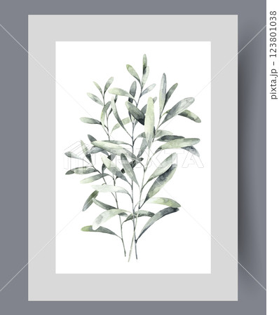 Twigs of tree or bush with green petals grown in wild on poster. Watercolor artwork 123801038