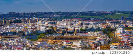 Seville Panoramic Cityview from Seville Cathedral, Spain 123801210