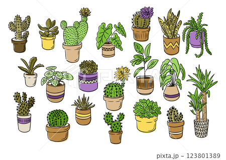 Colorful hand drawn illustration with a variety of potted houseplants, including succulents, cacti, and leafy greens in decorative pots Colorful hand drawn illustration with a variety of potted houseplants, including succulents, cacti, and leafy greens in decorative pots 123801389