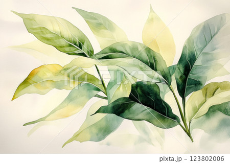 Delicate tropical leaves painted in fluid watercolor strokes, with rich green hues against a soft off-white background, creating a peaceful, nature-inspired vibe with light veins visible 123802006