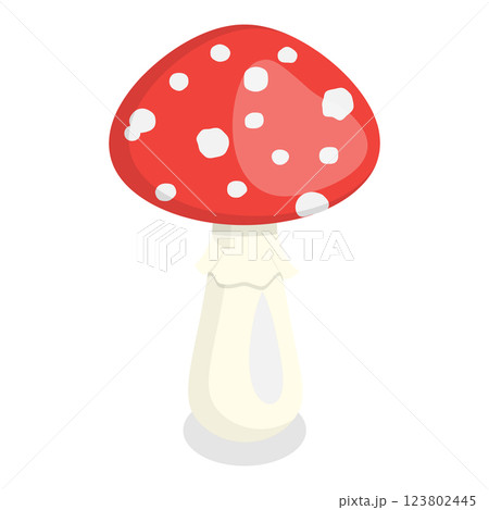 3D Isometric Flat  Set of Mushrooms. Item 12 123802445