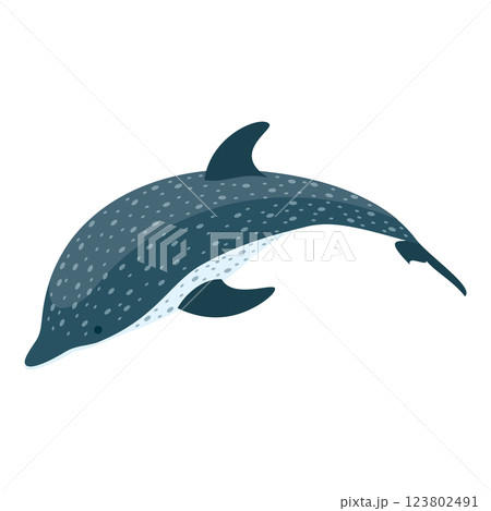 3D Isometric Flat Set of Types Of Dolphins. Item 1 3D Isometric Flat Set of Types Of Dolphins. Item 1 123802491
