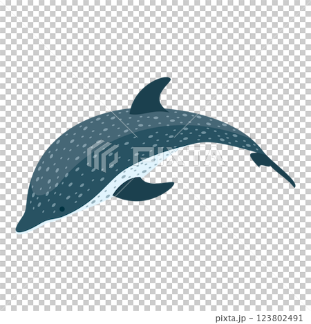 3D Isometric Flat  Set of Types Of Dolphins. Item 1 123802491
