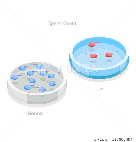 3D Isometric Flat  Illustration of Male Fertility. Item 3 123802494