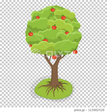 3D Isometric Flat  Set of Fruit Tree. Item 4 123802520