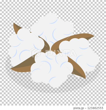 3D Isometric Flat Illustration of Cotton Flower Collection. Item 7 3D Isometric Flat Illustration of Cotton Flower Collection. Item 7 123802555