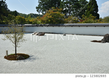 曼殊院門跡 宸殿前庭 盲亀浮木の庭(京都市左京区) 曼殊院門跡 宸殿前庭 盲亀浮木の庭(京都市左京区) 123802693